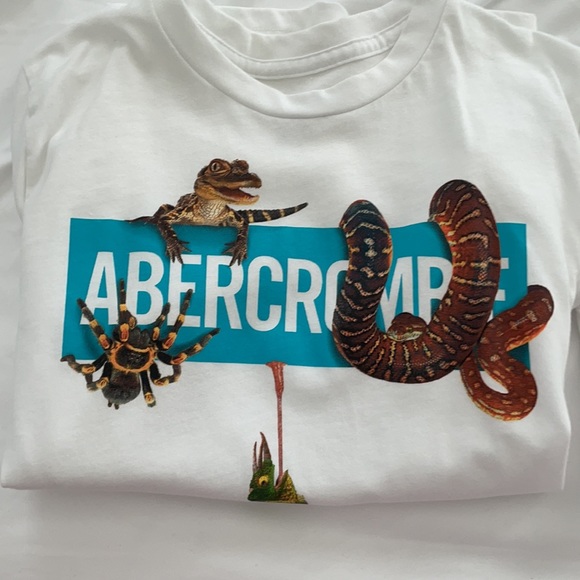 Abercrombie short sleeve shirts! - Picture 4 of 4